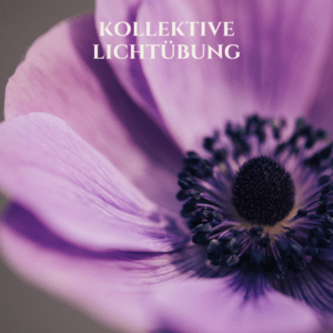 Kollektive Lichtübung: violette Anemone – Cover