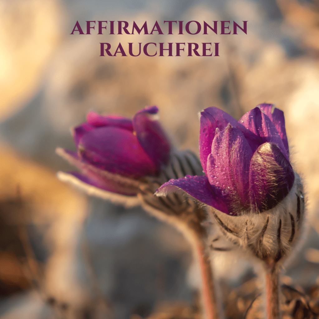 Affirmationen rauchfrei: Küchenschellen – Cover